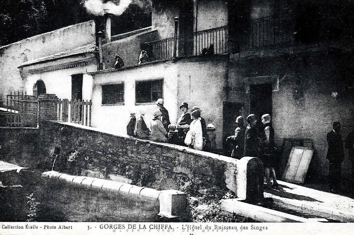 1548- Blida - Gorges de la Chiffa - Hotel du Ruisseau des Singes.jpg